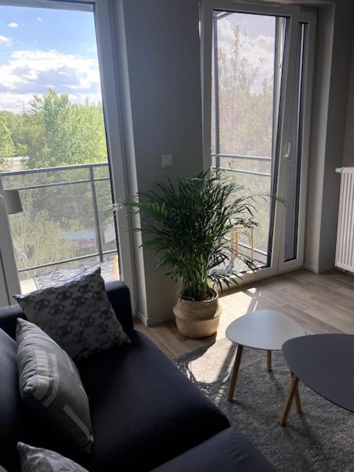 Sloneczny Apartament Z Garazem Przy Parku Kosciuszki Katowice Exterior foto