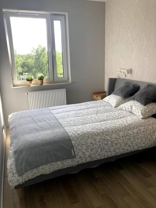 Sloneczny Apartament Z Garazem Przy Parku Kosciuszki Katowice Exterior foto